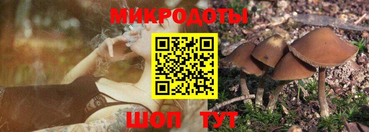 Можайск  Псилоцибиновые грибы Magic Shrooms  Вход с VPN  купить  цена  Галлюциногенные грибы MAGIC MUSHROOMS 