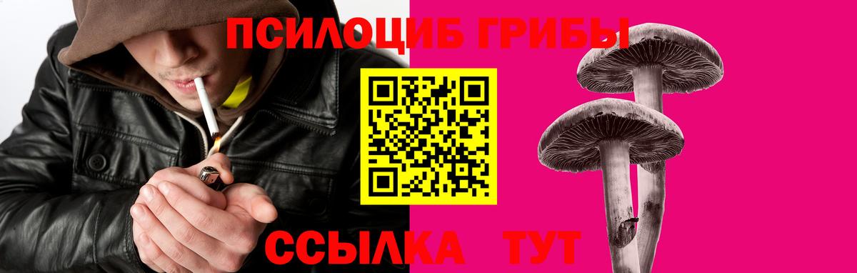 Псилоцибиновые грибы прущие грибы Можайск